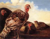 Aelbert Cuyp - Domestic Fowl